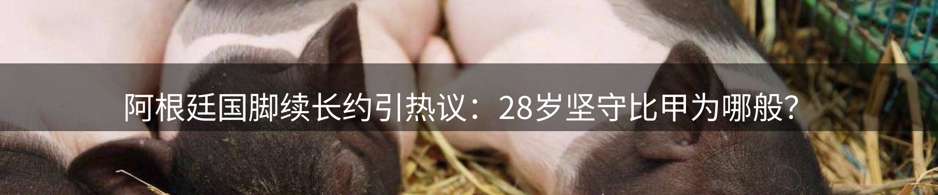 资讯图鉴